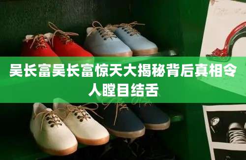 吴长富吴长富惊天大揭秘背后真相令人瞠目结舌