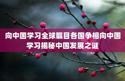 向中国学习全球瞩目各国争相向中国学习揭秘中国发展之谜
