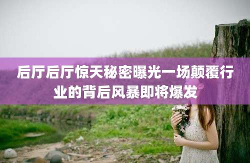 后厅后厅惊天秘密曝光一场颠覆行业的背后风暴即将爆发