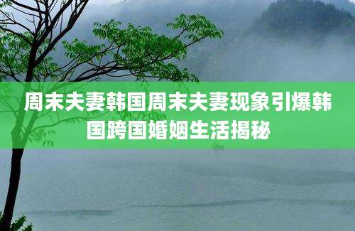 周末夫妻韩国周末夫妻现象引爆韩国跨国婚姻生活揭秘
