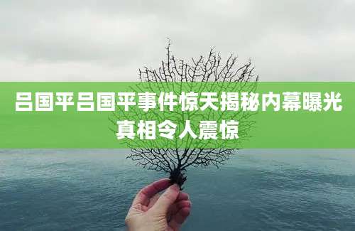 吕国平吕国平事件惊天揭秘内幕曝光真相令人震惊