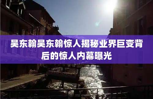 吴东翰吴东翰惊人揭秘业界巨变背后的惊人内幕曝光