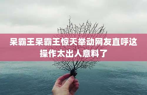 呆霸王呆霸王惊天举动网友直呼这操作太出人意料了