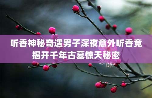 听香神秘奇遇男子深夜意外听香竟揭开千年古墓惊天秘密