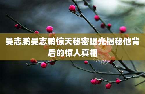 吴志鹏吴志鹏惊天秘密曝光揭秘他背后的惊人真相