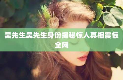 吴先生吴先生身份揭秘惊人真相震惊全网