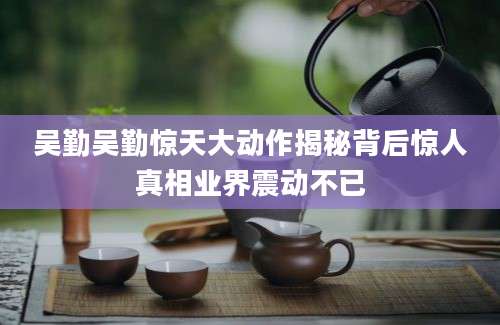 吴勤吴勤惊天大动作揭秘背后惊人真相业界震动不已