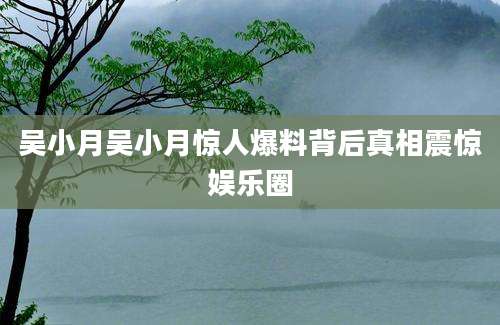 吴小月吴小月惊人爆料背后真相震惊娱乐圈