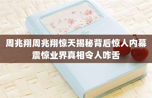 周兆翔周兆翔惊天揭秘背后惊人内幕震惊业界真相令人咋舌