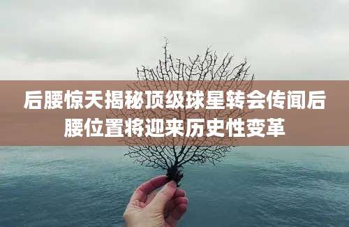 后腰惊天揭秘顶级球星转会传闻后腰位置将迎来历史性变革