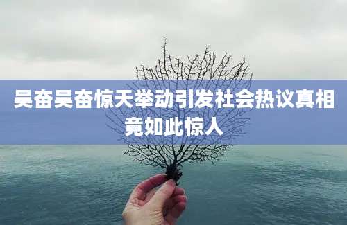 吴奋吴奋惊天举动引发社会热议真相竟如此惊人