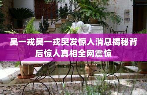 吴一戎吴一戎突发惊人消息揭秘背后惊人真相全网震惊