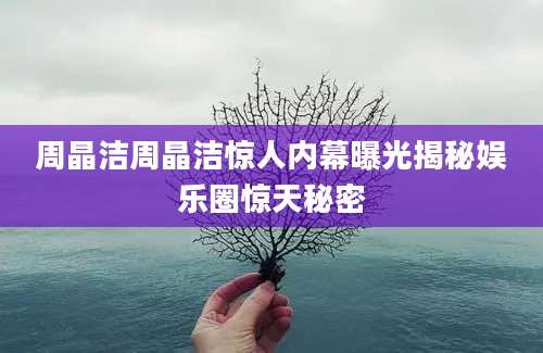 周晶洁周晶洁惊人内幕曝光揭秘娱乐圈惊天秘密