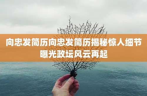 向忠发简历向忠发简历揭秘惊人细节曝光政坛风云再起
