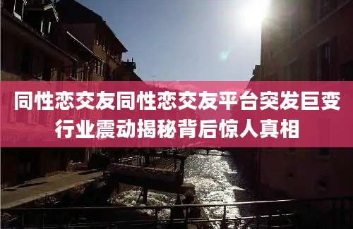 同性恋交友同性恋交友平台突发巨变行业震动揭秘背后惊人真相