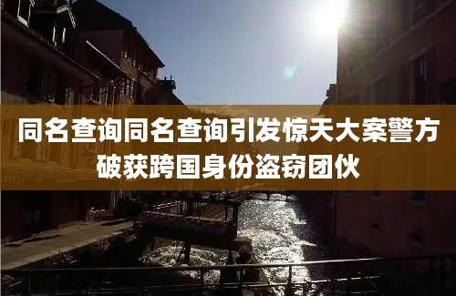 同名查询同名查询引发惊天大案警方破获跨国身份盗窃团伙