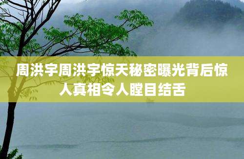 周洪宇周洪宇惊天秘密曝光背后惊人真相令人瞠目结舌