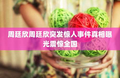 周廷欣周廷欣突发惊人事件真相曝光震惊全国
