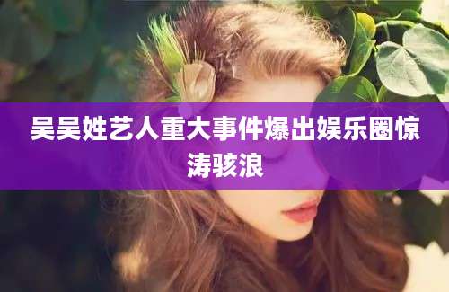 吴吴姓艺人重大事件爆出娱乐圈惊涛骇浪