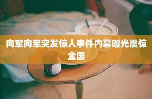 向军向军突发惊人事件内幕曝光震惊全国