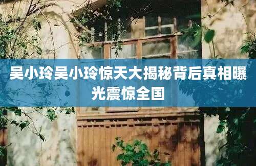 吴小玲吴小玲惊天大揭秘背后真相曝光震惊全国