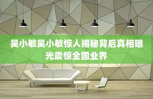 吴小敏吴小敏惊人揭秘背后真相曝光震惊全国业界
