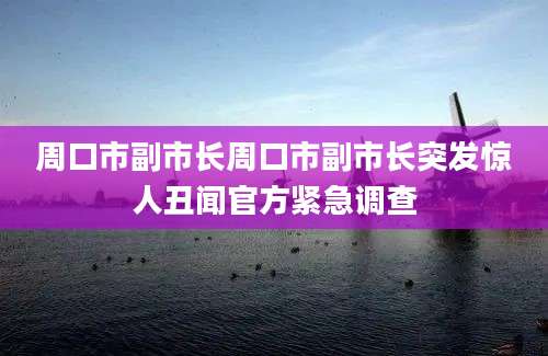周口市副市长周口市副市长突发惊人丑闻官方紧急调查