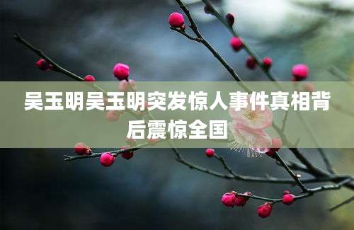 吴玉明吴玉明突发惊人事件真相背后震惊全国
