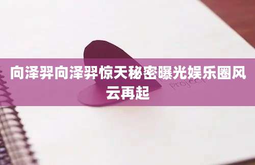 向泽羿向泽羿惊天秘密曝光娱乐圈风云再起