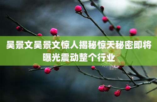 吴景文吴景文惊人揭秘惊天秘密即将曝光震动整个行业