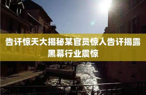 告讦惊天大揭秘某官员惊人告讦揭露黑幕行业震惊