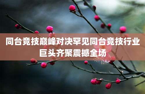 同台竞技巅峰对决罕见同台竞技行业巨头齐聚震撼全场