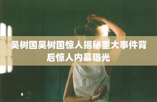 吴树国吴树国惊人揭秘重大事件背后惊人内幕曝光
