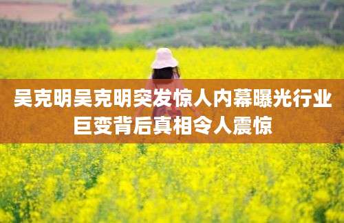 吴克明吴克明突发惊人内幕曝光行业巨变背后真相令人震惊