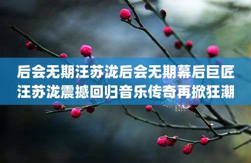 后会无期汪苏泷后会无期幕后巨匠汪苏泷震撼回归音乐传奇再掀狂潮