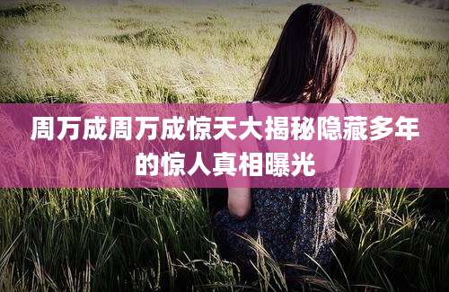 周万成周万成惊天大揭秘隐藏多年的惊人真相曝光