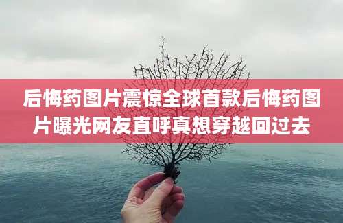 后悔药图片震惊全球首款后悔药图片曝光网友直呼真想穿越回过去