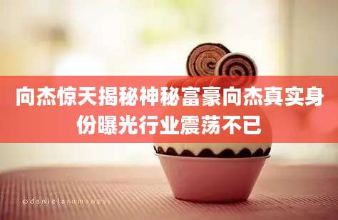 向杰惊天揭秘神秘富豪向杰真实身份曝光行业震荡不已