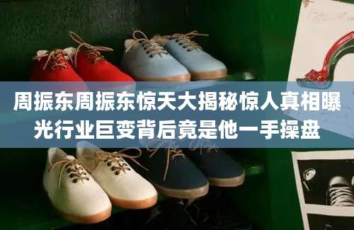 周振东周振东惊天大揭秘惊人真相曝光行业巨变背后竟是他一手操盘