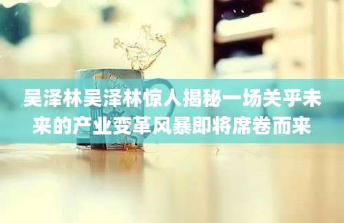 吴泽林吴泽林惊人揭秘一场关乎未来的产业变革风暴即将席卷而来