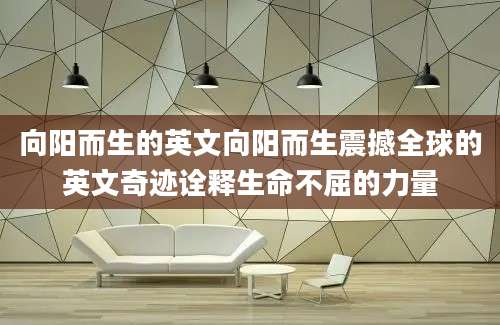向阳而生的英文向阳而生震撼全球的英文奇迹诠释生命不屈的力量