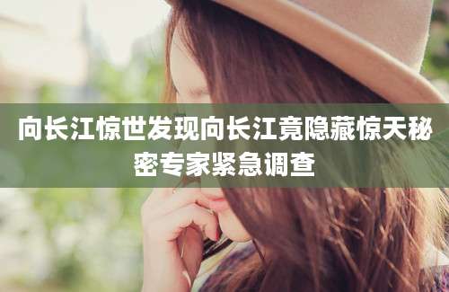 向长江惊世发现向长江竟隐藏惊天秘密专家紧急调查