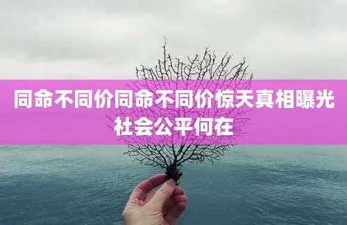 同命不同价同命不同价惊天真相曝光社会公平何在