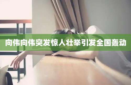 向伟向伟突发惊人壮举引发全国轰动