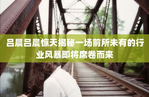 吕晨吕晨惊天揭秘一场前所未有的行业风暴即将席卷而来