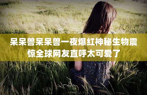 呆呆兽呆呆兽一夜爆红神秘生物震惊全球网友直呼太可爱了