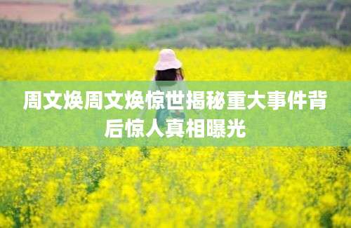 周文焕周文焕惊世揭秘重大事件背后惊人真相曝光