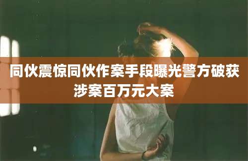 同伙震惊同伙作案手段曝光警方破获涉案百万元大案
