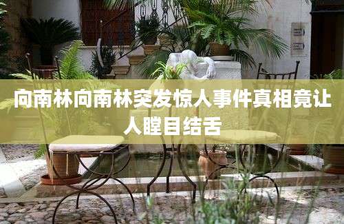 向南林向南林突发惊人事件真相竟让人瞠目结舌