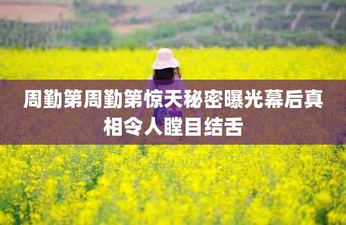 周勤第周勤第惊天秘密曝光幕后真相令人瞠目结舌